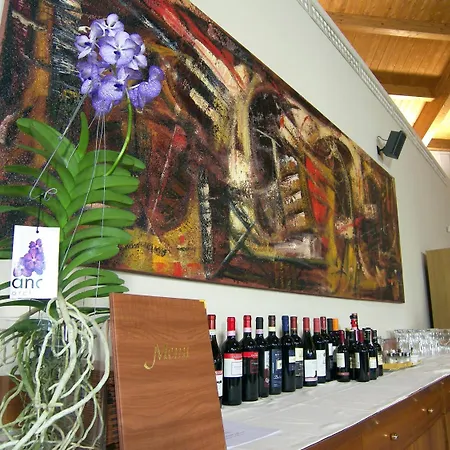 President Hotel 4*